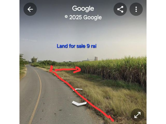 Land for sale 9 rai, ใกล้สหกรณ์โคนมนครปฐม อ.กำแพงแสน