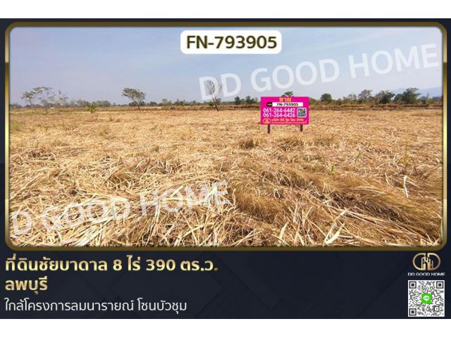 FN-793905 ที่ดินชัยบาดาล 8 ไร่ 390 ตร.ว. ลพบุรี ใกล้โครงการลมนารายณ์ โซนบัวชุม