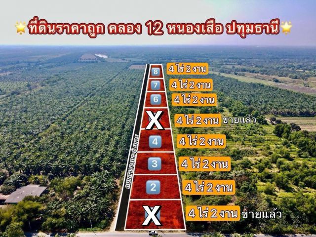 ด่วน! ที่ดินราคาพิเศษ คลอง 12 หนองเสือ จ.ปทุมธานี